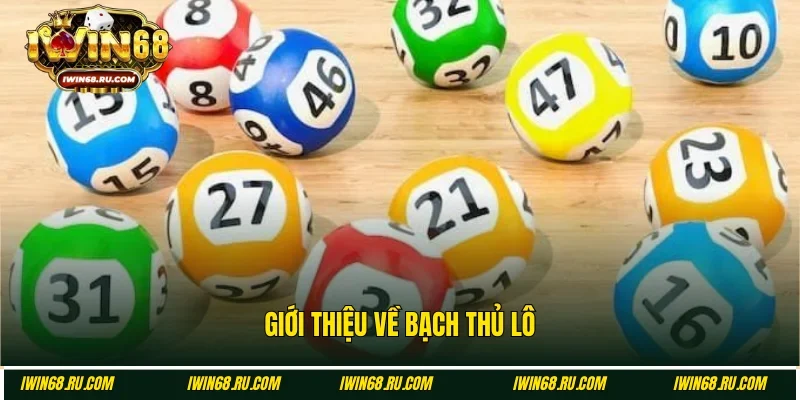 Tìm hiểu khái quát về bạch thủ lô