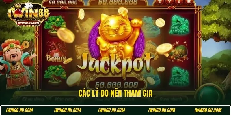 Một vài lý do nên lựa chọn mèo Tài Lộc